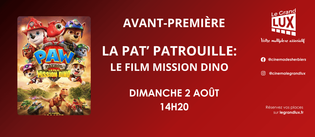 actualité AVP PAT PATROUILLE