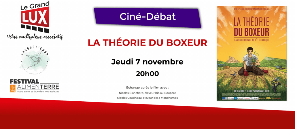 actualité debat theorie du boxeur