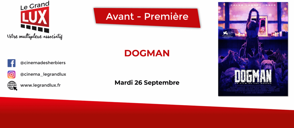 actualité dogman